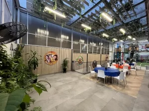 Alimentos Kids Corner